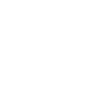 cftv icone