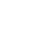 dvr icone